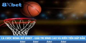 Cá cược bóng rổ 8xbet